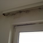 Schimmel_Lüftungsschaden_Köln