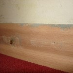 Schimmelschaden_NACH_Wasserschaden_Radevormwald