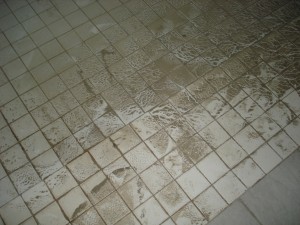 defekte_Rückstauklappe_Wasserschaden_Hagen