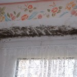 Schimmelbefall_Fensterlaibung_Kölner_Wohnung