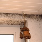 Schimmelbefall_Flüssiggasheizung_Leverkusen