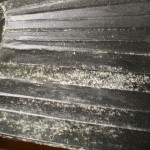 Schimmelsanierung_Holzregal
