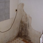 Schimmelbefall_Wärmebrücke_Wuppertal