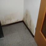 schimmelbekämpfung_Köln