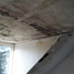 verdeckter-wasserschaden-dachgeschos-leverkusen