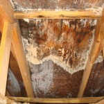 verschimmelte dachgaube durch wassereintritt Remscheid Schimmelsanierung_Solingen_Wasserschaden