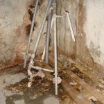 Schimmelbefall_Keller_Odenthal