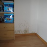 Schimmelbefall durch Wärmebrücke Düsseldorf